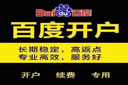 SEM竞价案例分析：提升广告投放效果